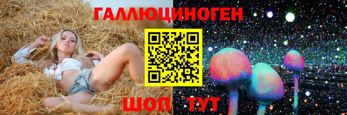 Майский  Псилоцибиновые грибы Psilocybe  Вход с VPN  Псилоцибиновые грибы Magic Shrooms 