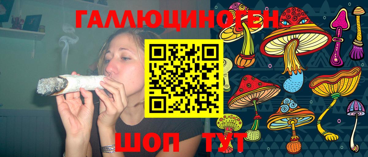 Галлюциногенные грибы Psilocybe Майский